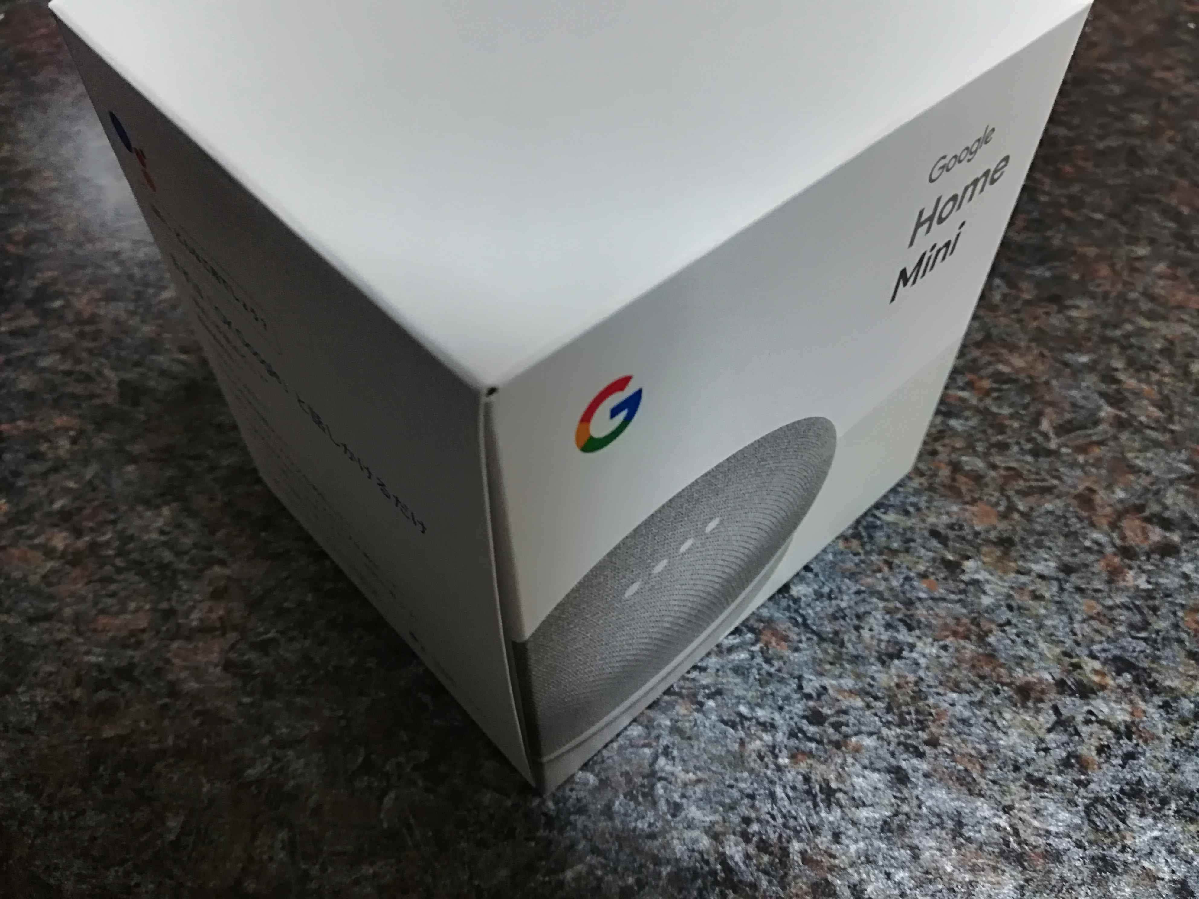 Google HomGoogle Homee 1